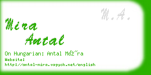 mira antal business card